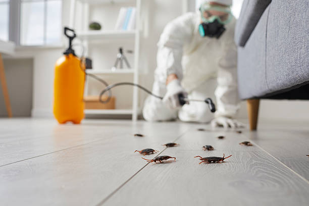 Trusted Rodent Control service in Cape May Court House, NJ - Nex Pest Control